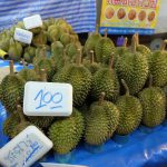 Durian, king of tropical fruits